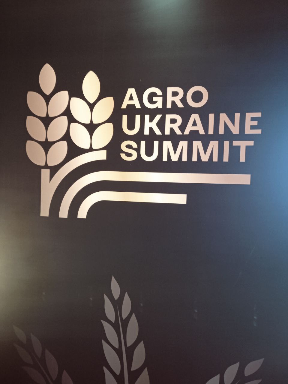 ...